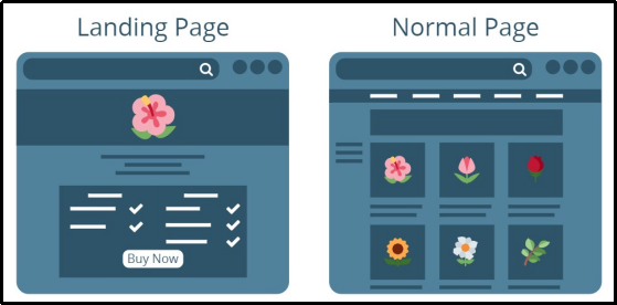 Difference between Landing page and Normal page